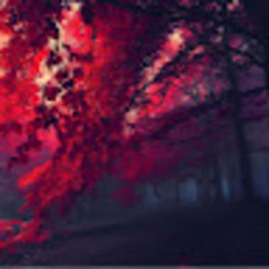 Meet your Posher, Araya